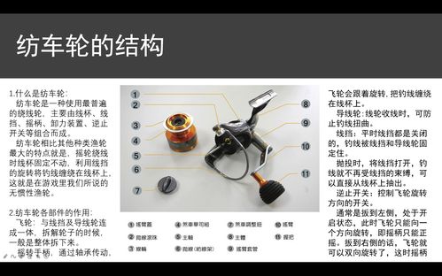 紡車式漁輪 鼓輪結構講解